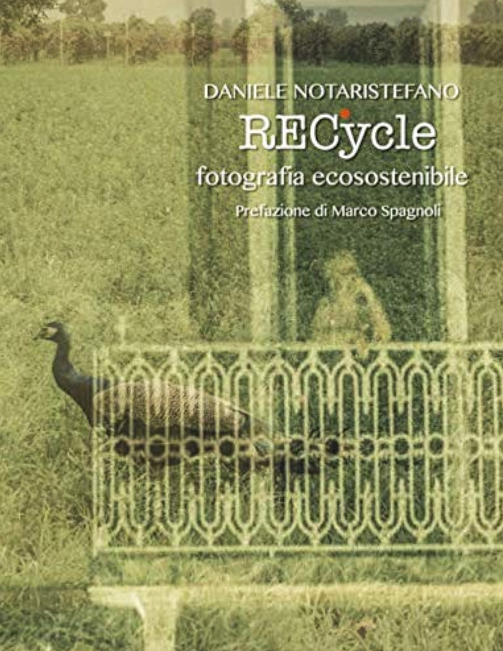 RECycle: fotografia ecosostenibile
