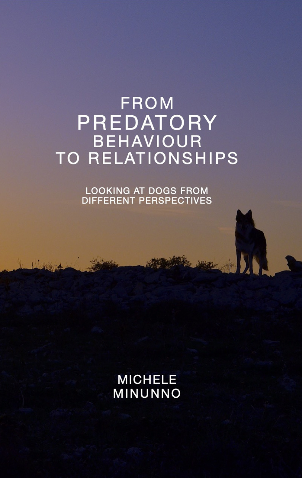 From predatory behaviour to relationship. Looking at dogs from different perspectives