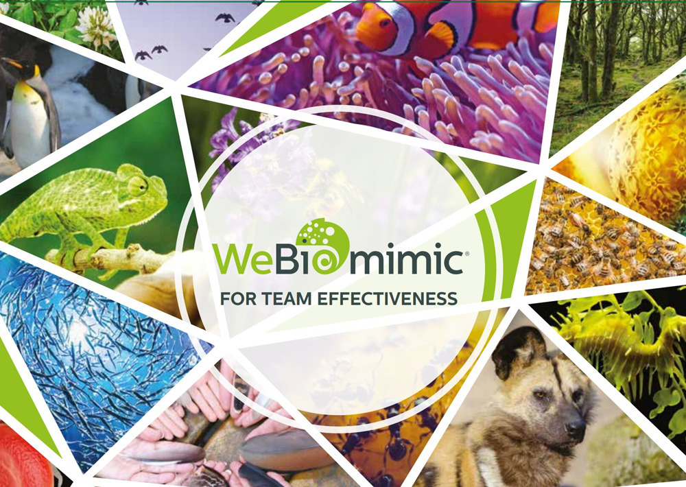 WeBiomimic for team effectiveness. Ediz. italiana e inglese