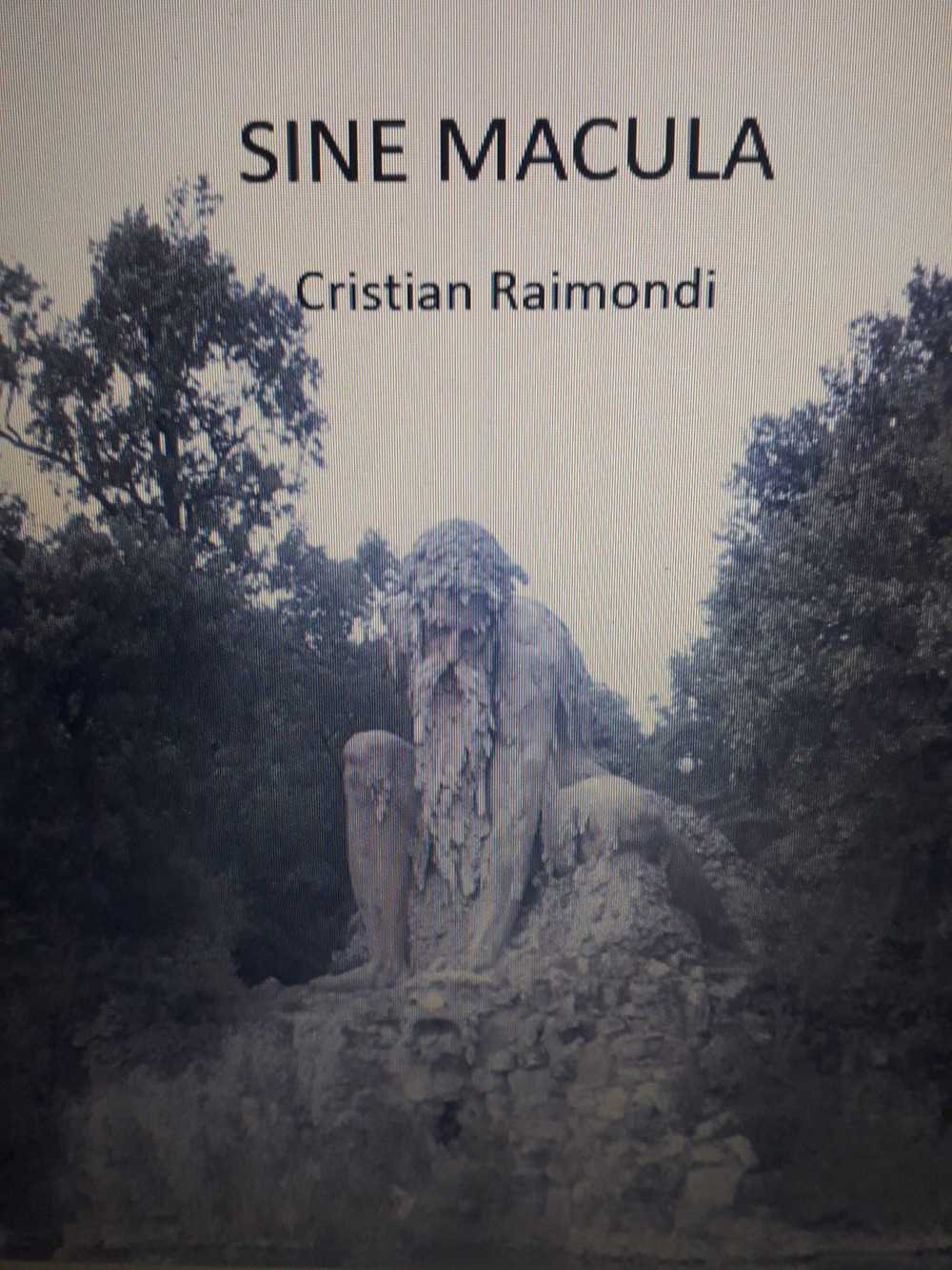 Sine Macula
