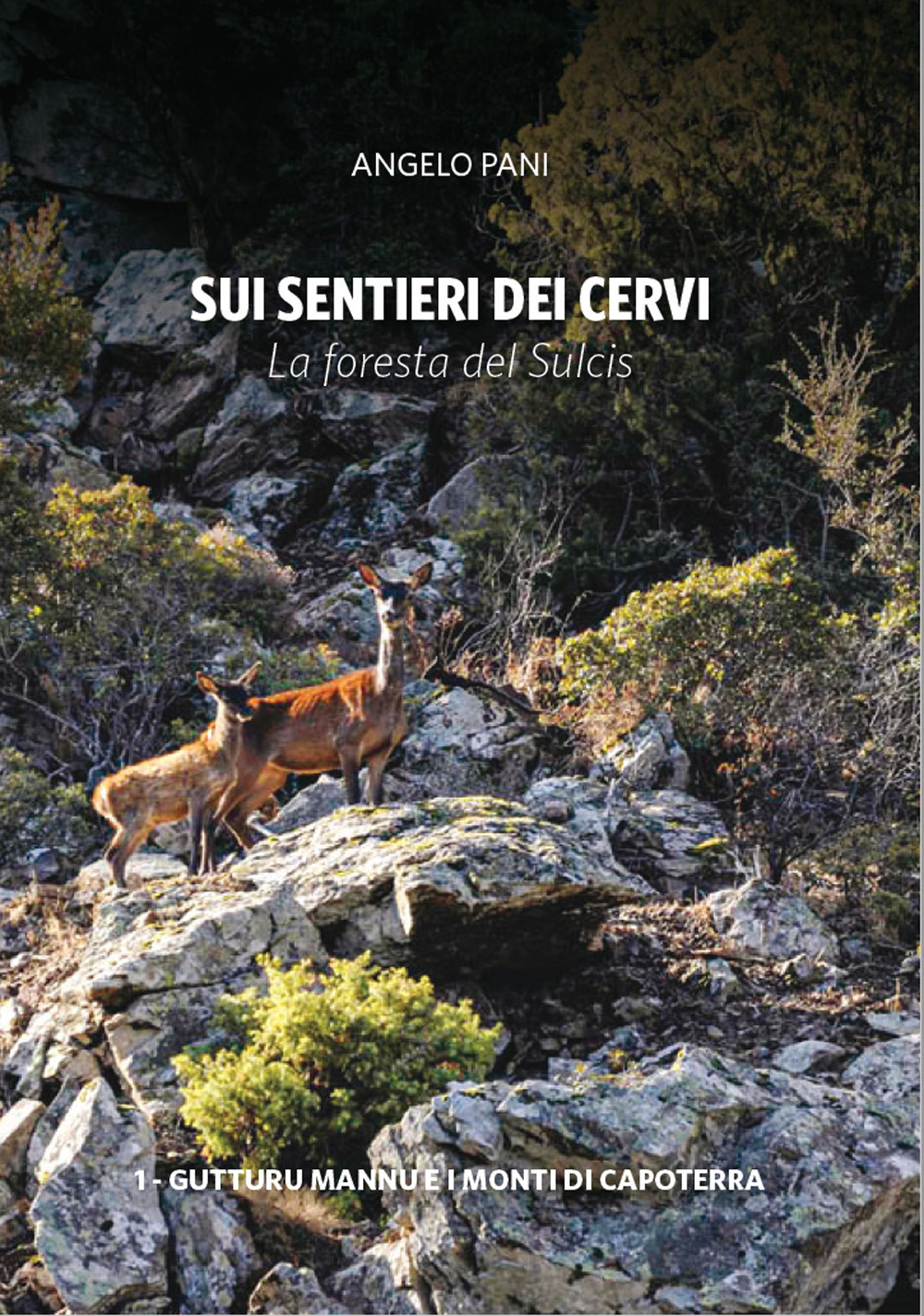 Sui sentieri dei cervi. La foresta del Sulcis
