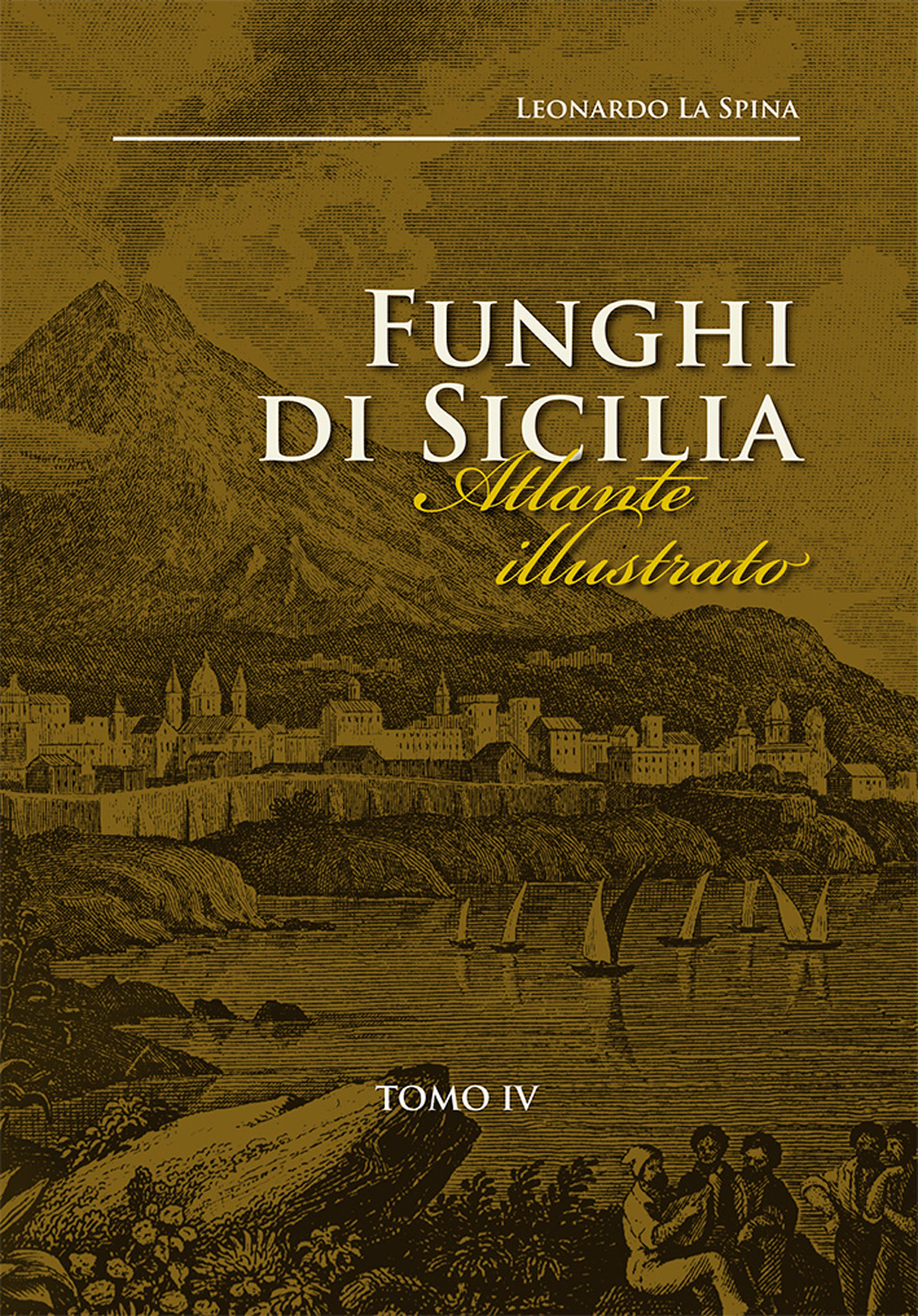 Funghi di Sicilia. Atlante illustrato. Vol. 4: Specie poco note e rare