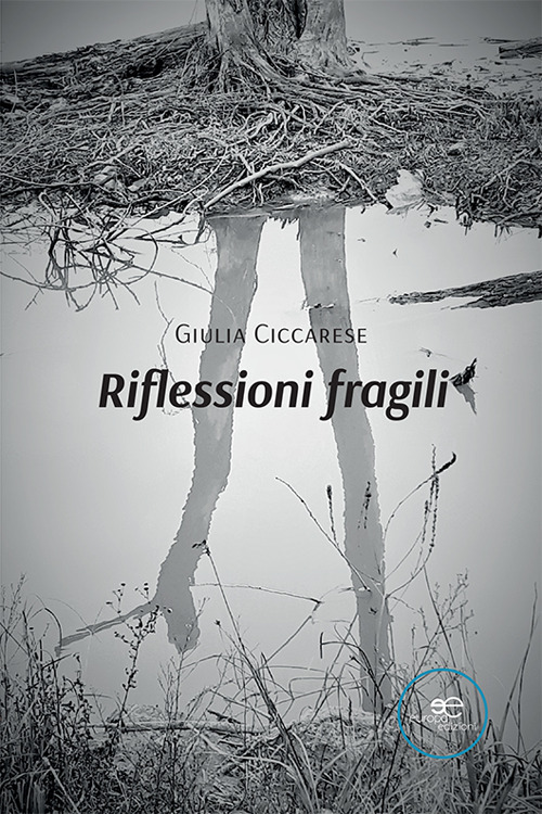 Riflessioni fragili