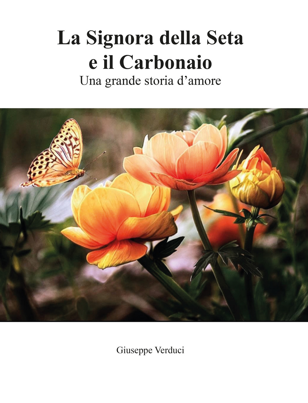 La signora della seta e il carbonaio. Una grande storia d'amore
