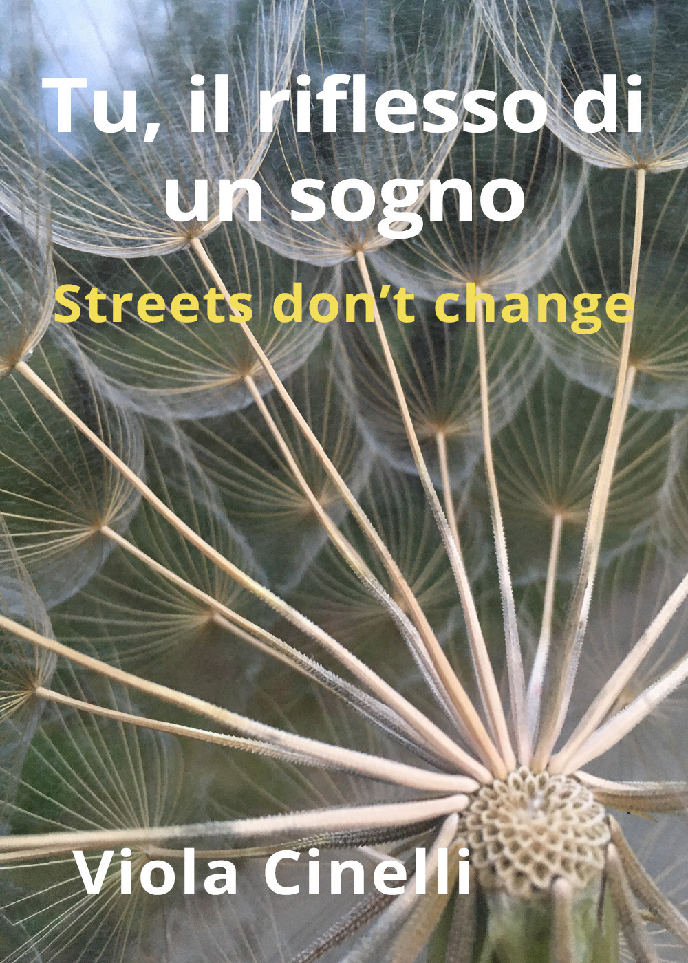 Tu, il riflesso di un sogno. Streets don't change