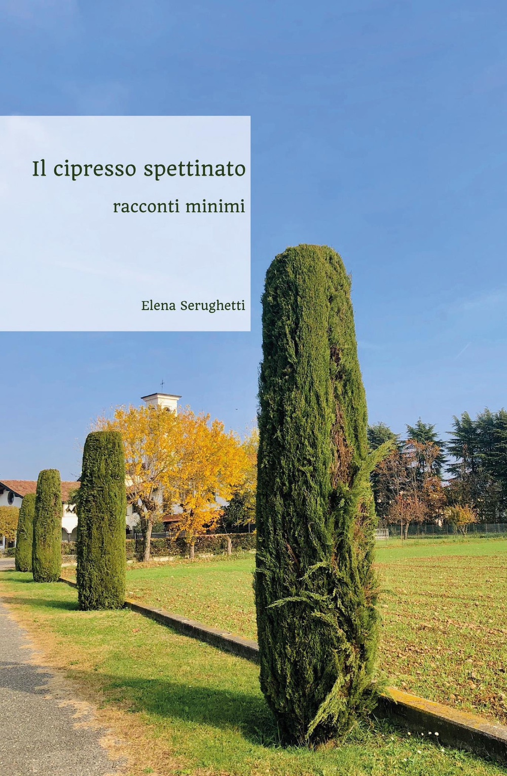 Il cipresso spettinato. Racconti minimi
