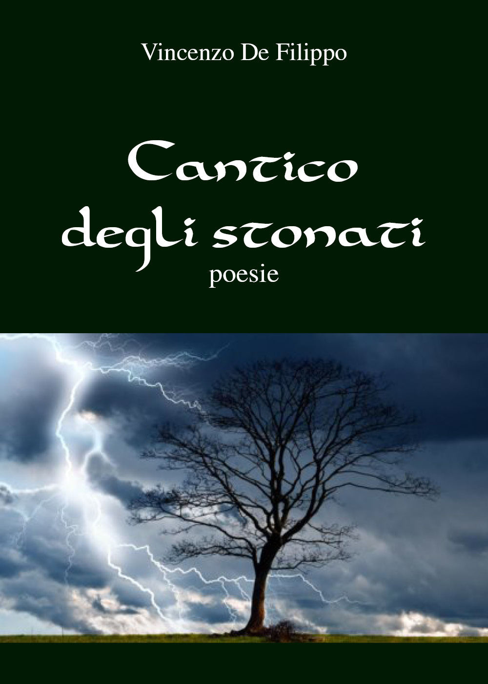 Cantico degli stonati