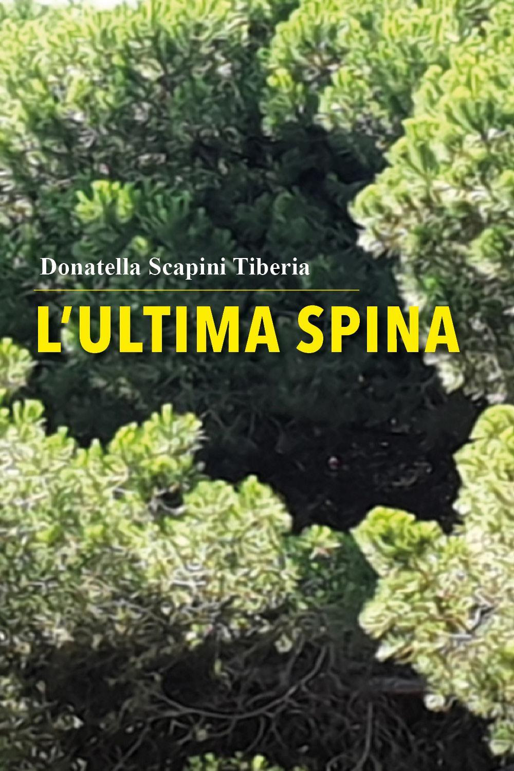 L'ultima spina
