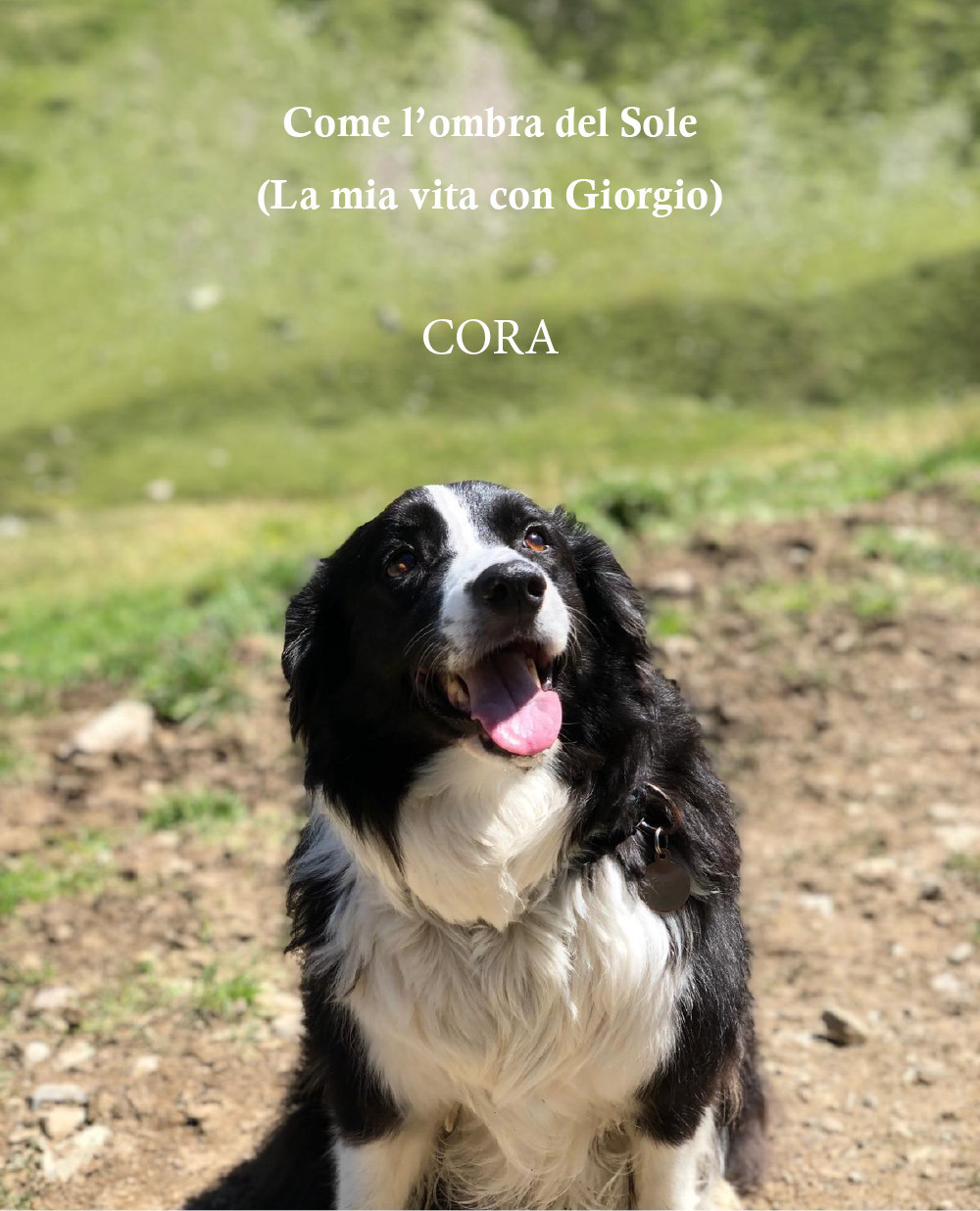Come l'ombra del sole. (La mia vita con Giorgio). Cora