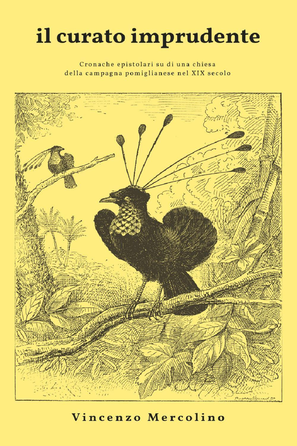 Il curato imprudente