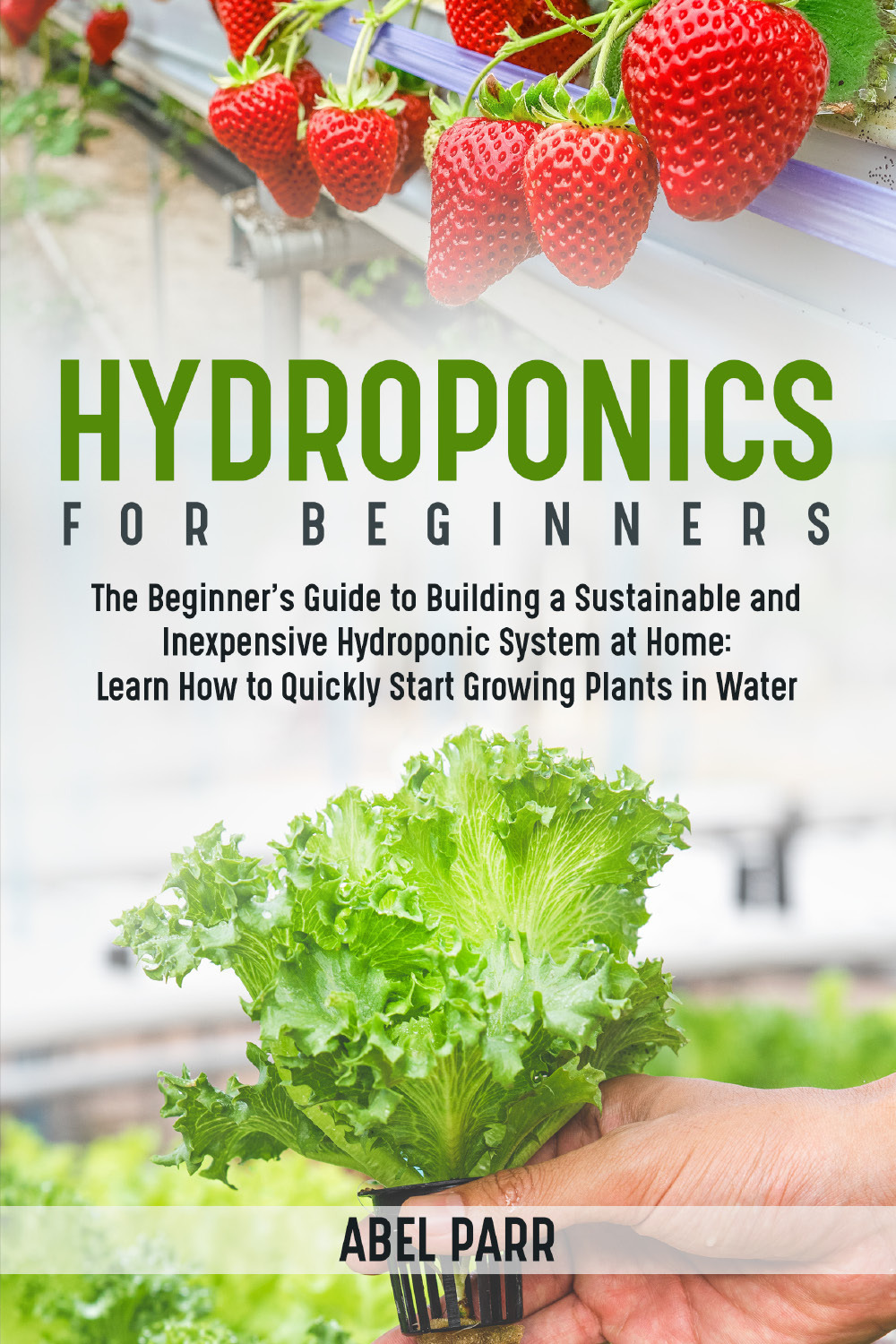 Hydroponics for beginners