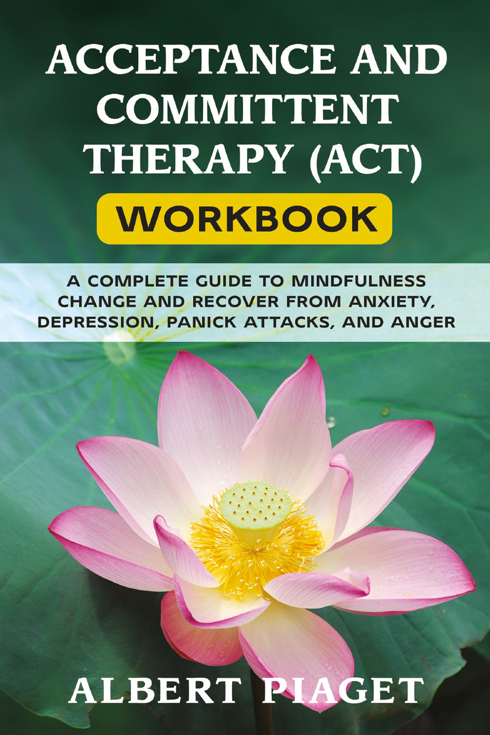 Acceptance and committent therapy (ACT) workbook