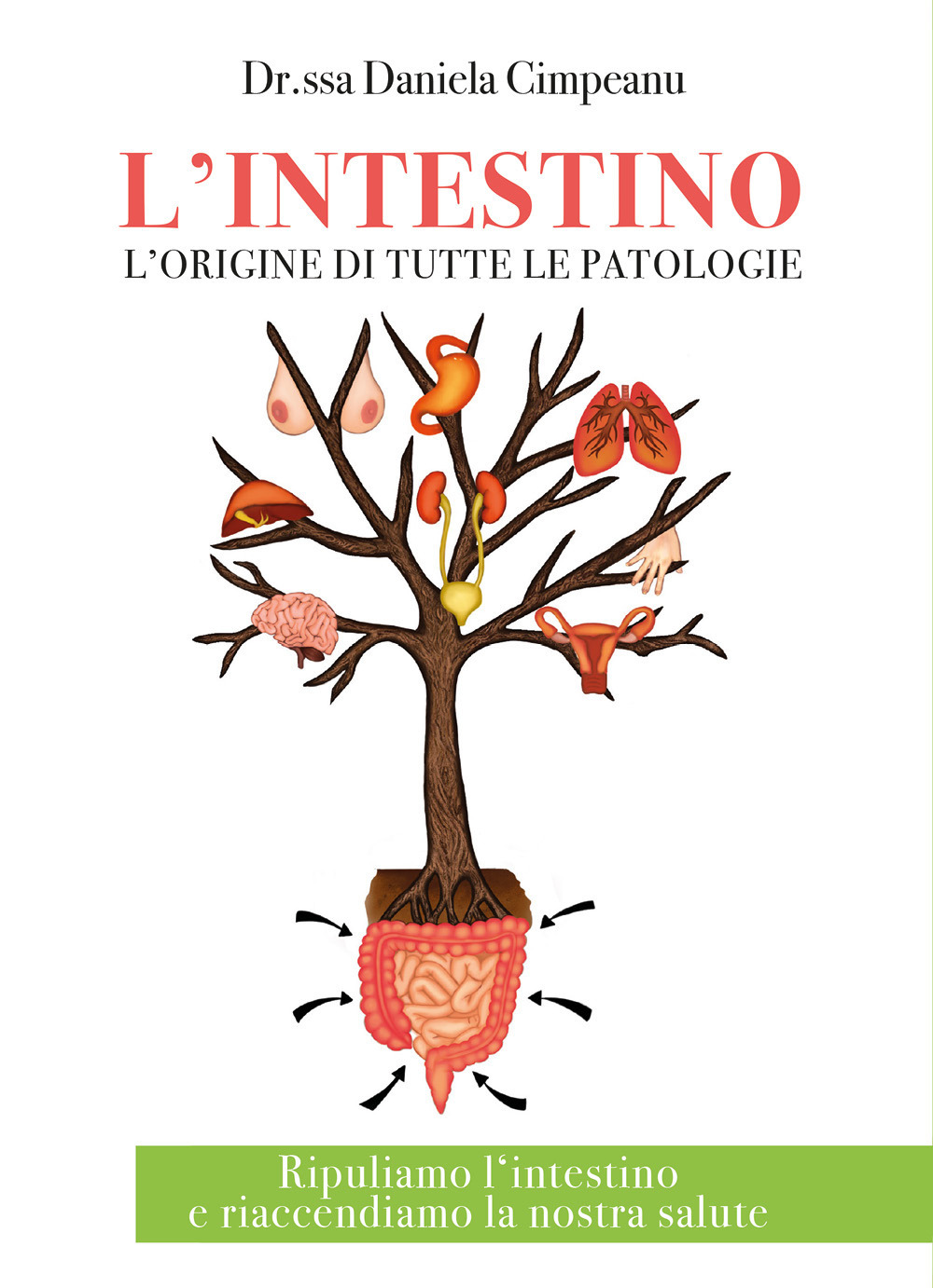 L'intestino l'origine di tutte le patologie. Ripuliamo l'intestino e riaccendiamo la nostra salute