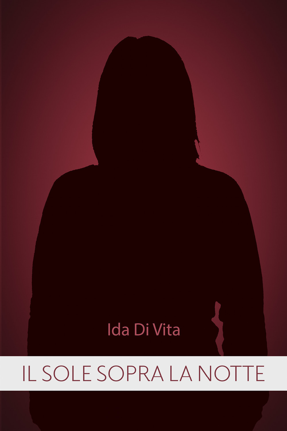 Il sole sopra la notte
