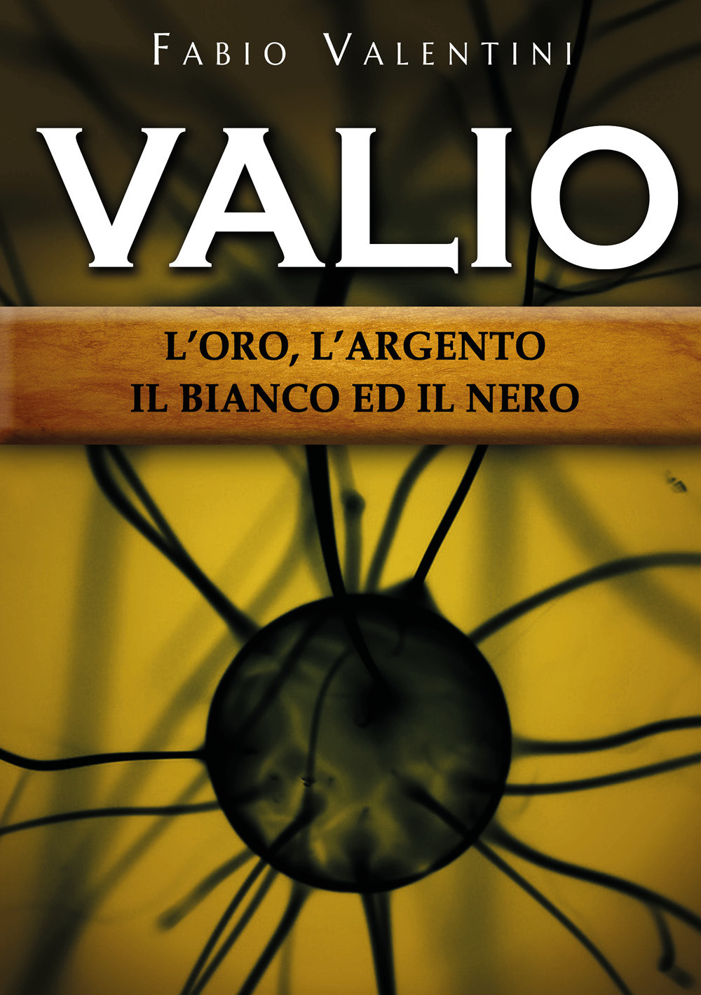 Valio. L'oro, l'argento, il bianco ed il nero. Vol. 1