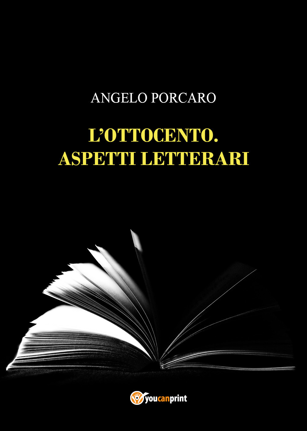 L'Ottocento. Aspetti letterari