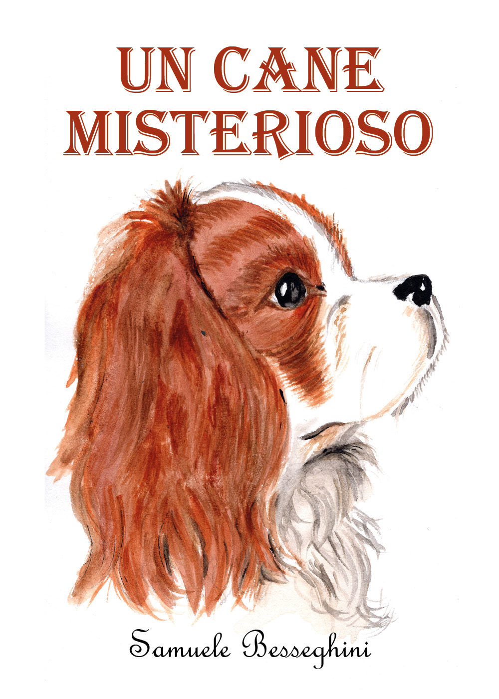 Un cane misterioso