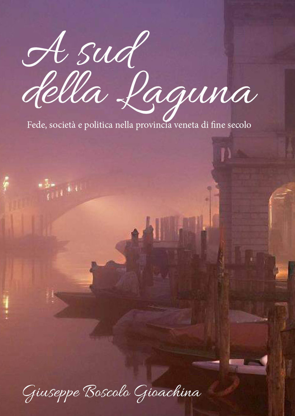 A sud della laguna. Fede, società e politica nella provincia veneta di fine secolo