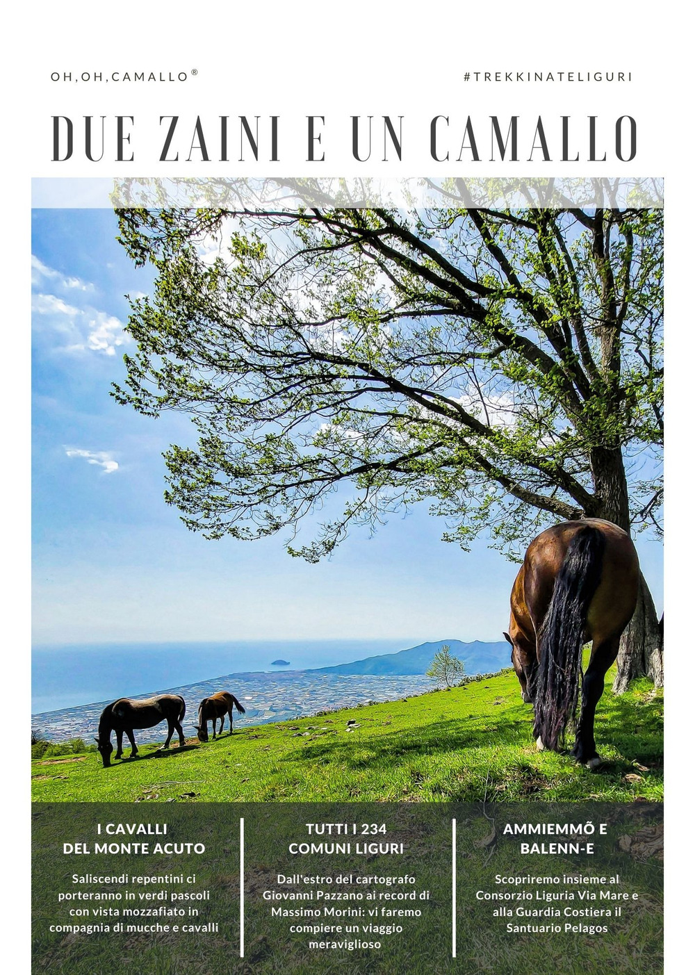 Due Zaini e Un Camallo. Vol. 7: Oh, oh, camallo. trekkinateliguri