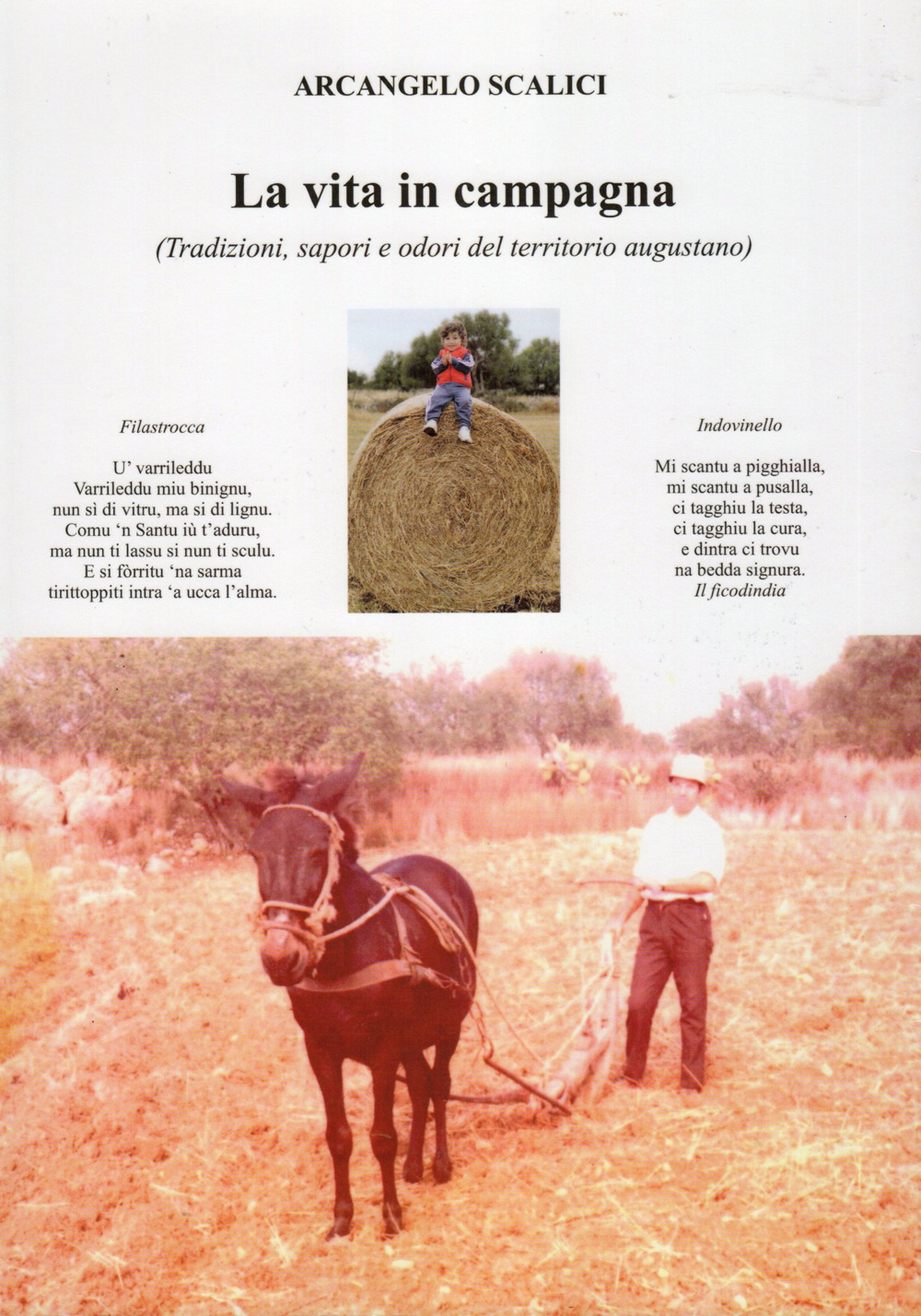 La vita in campagna (Tradizioni sapori e odori del territorio di Augusta) (Beni immateriali da trasmettere alle future generazioni)