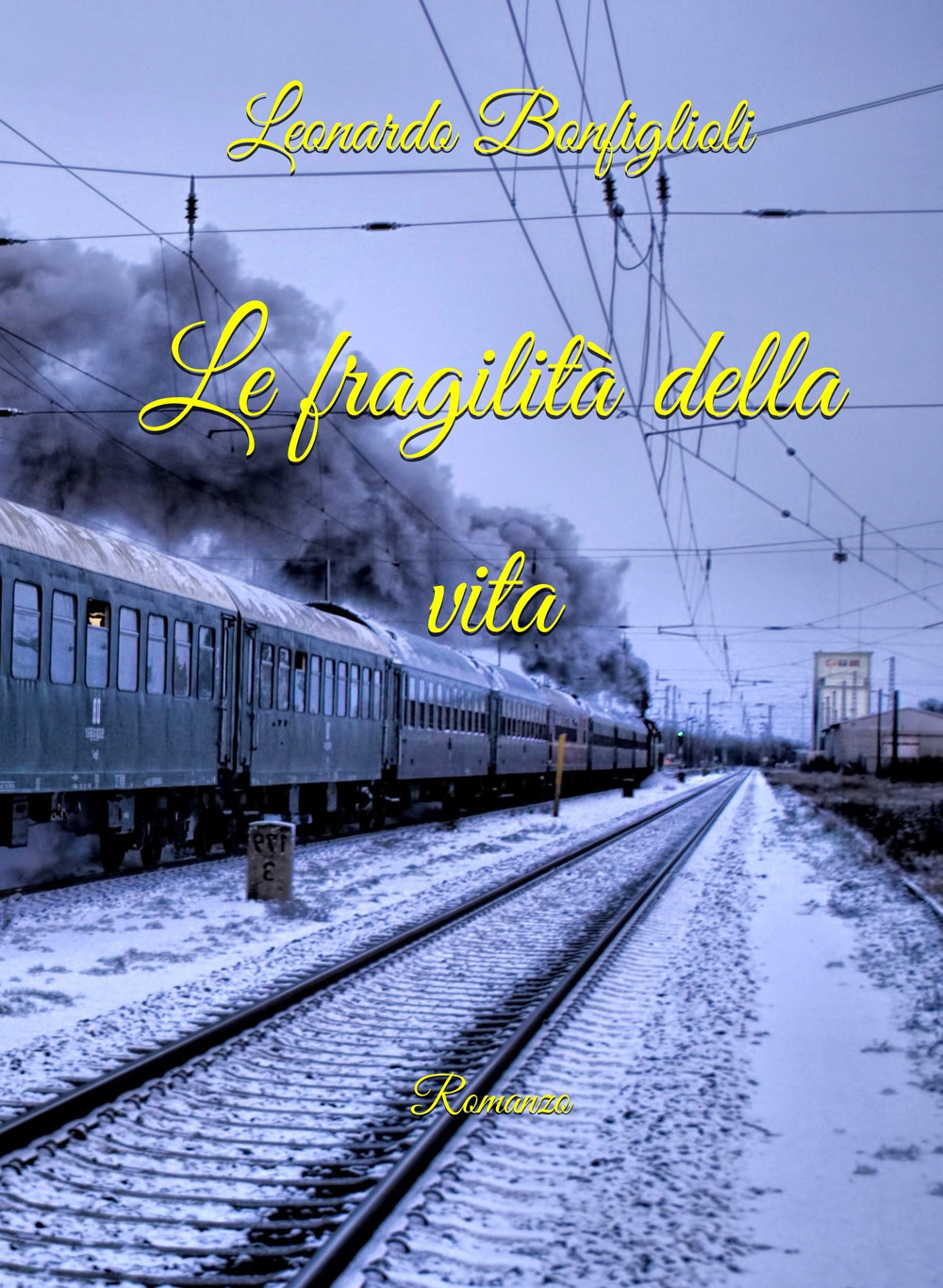 Le fragilità della vita