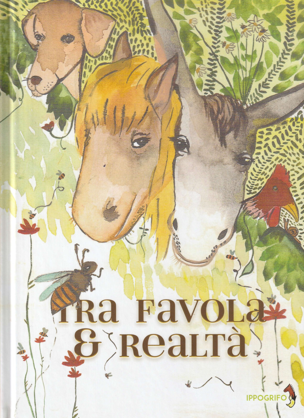 Tra favola e realtà