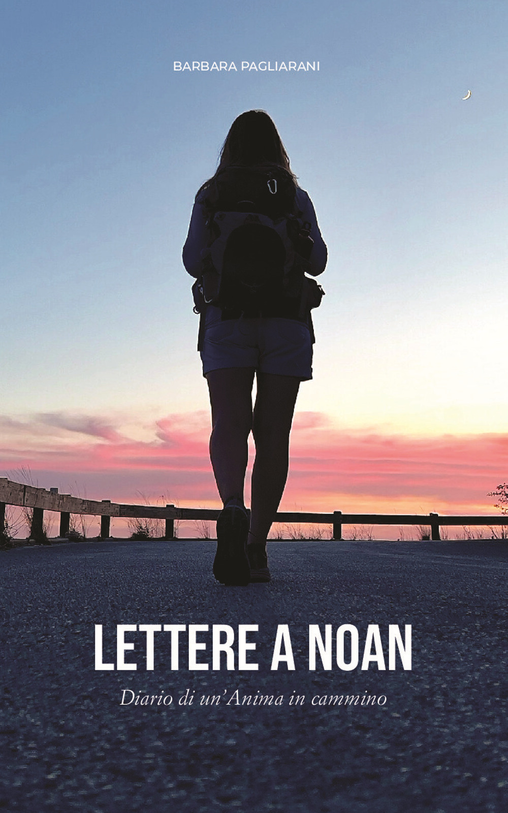 Lettere a Noan. Diario di un'anima in cammino