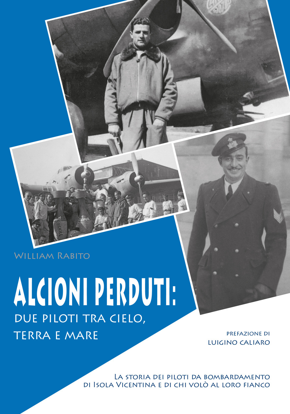 Alcioni perduti: due piloti tra cielo, terra e mare. La storia dei piloti da bombardamento di Isola Vicentina e di chi volò al loro fianco