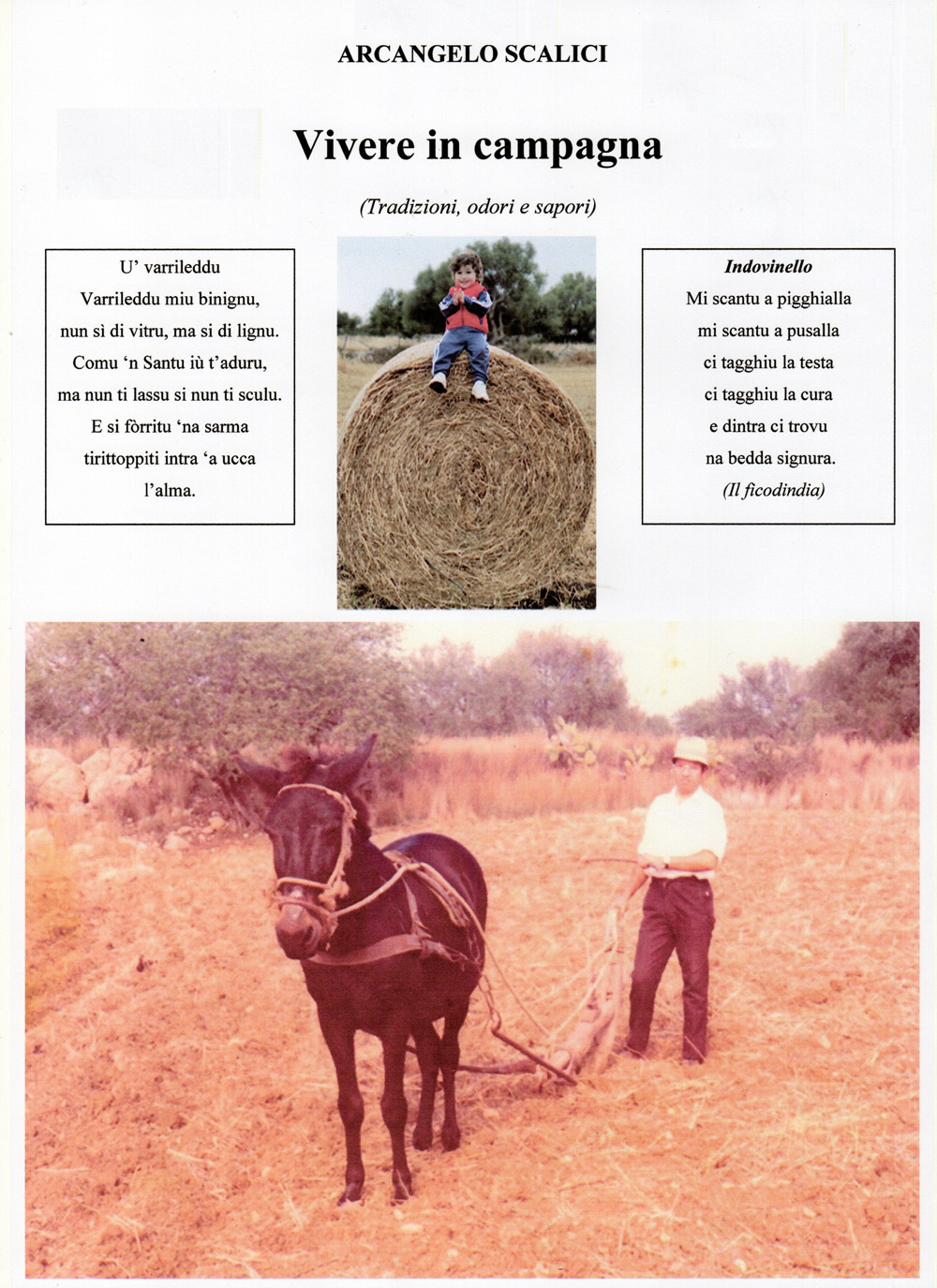 Vivere in campagna. Tradizioni odori e sapori