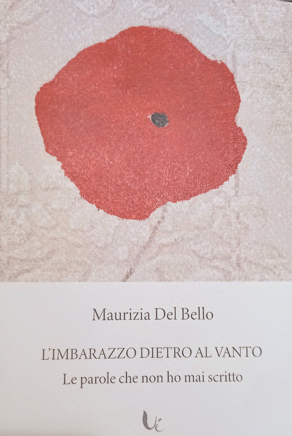 L'imbarazzo dietro al vanto. Le parole che non ho mai scritto