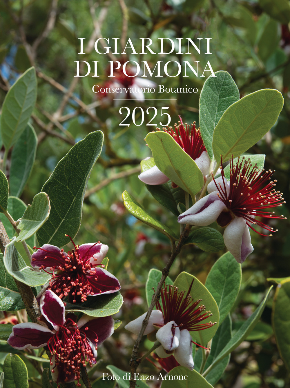 I giardini di Pomona. Conservatorio botanico. Calendario fotografico 2025