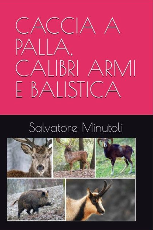 Caccia a palla, calibri, armi e balistica