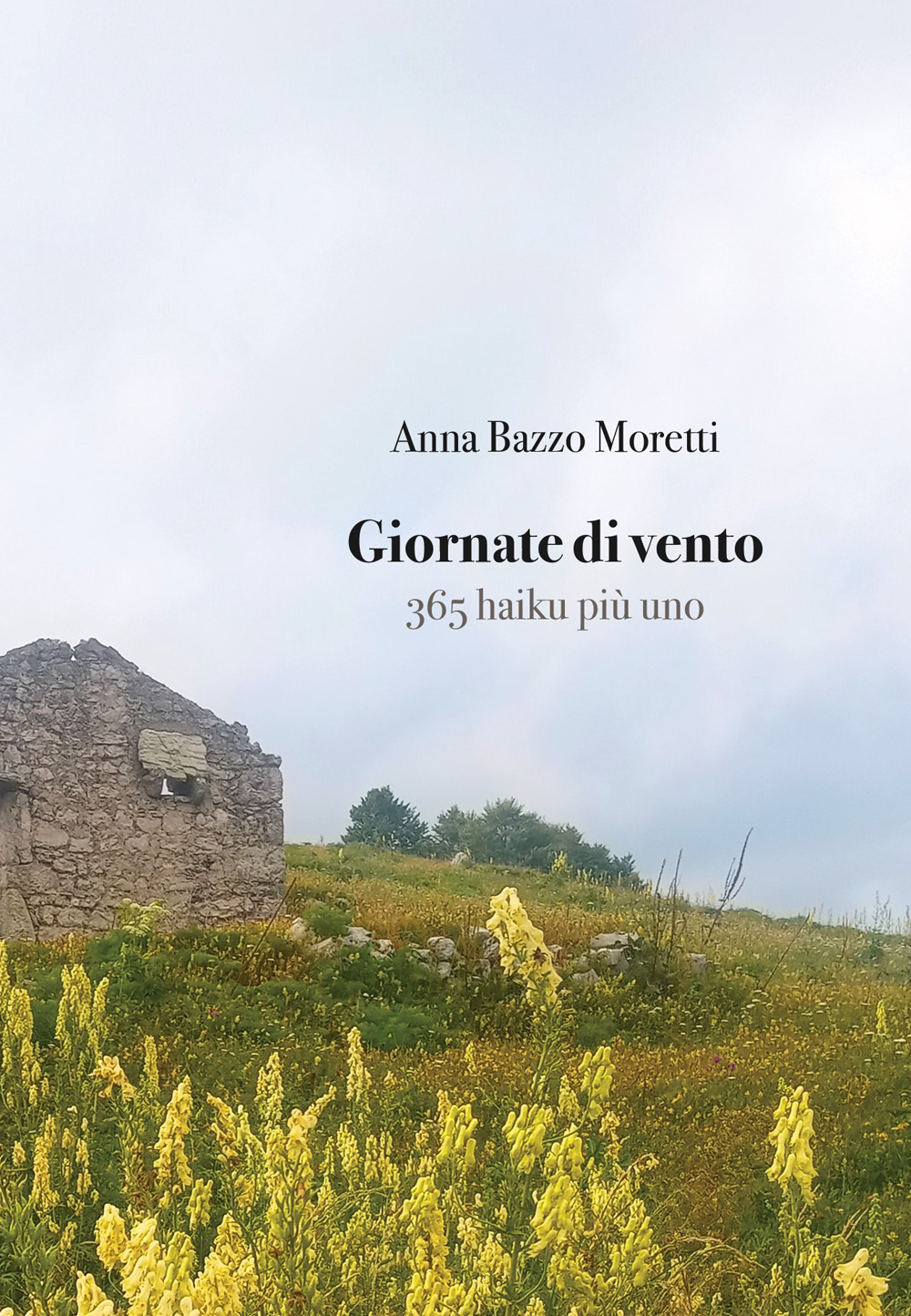 Giornate di vento. 365 haiku più uno