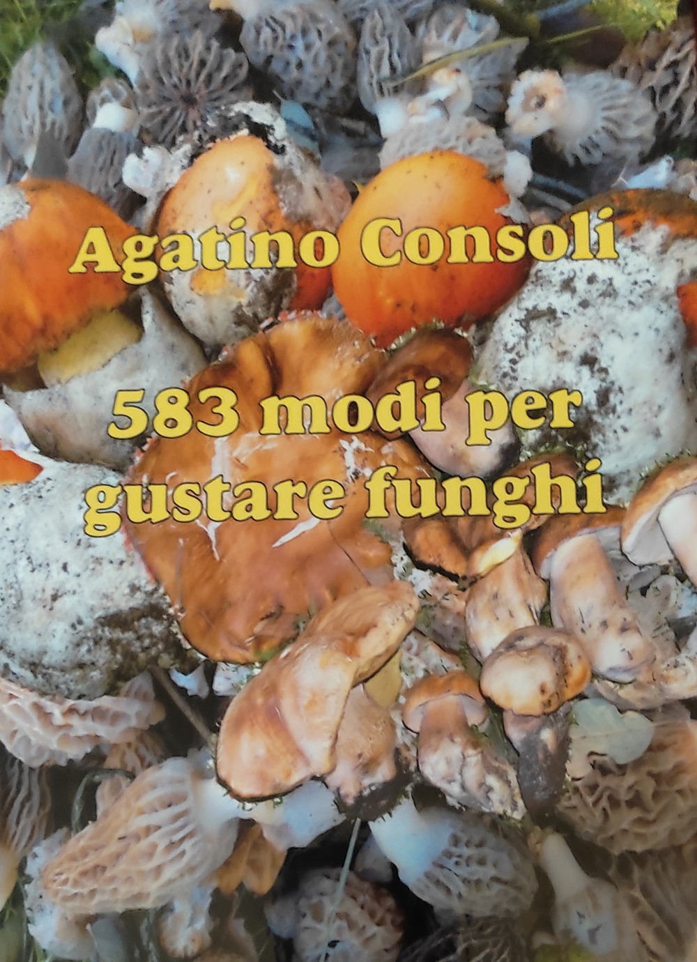 583 modi per gustare funghi