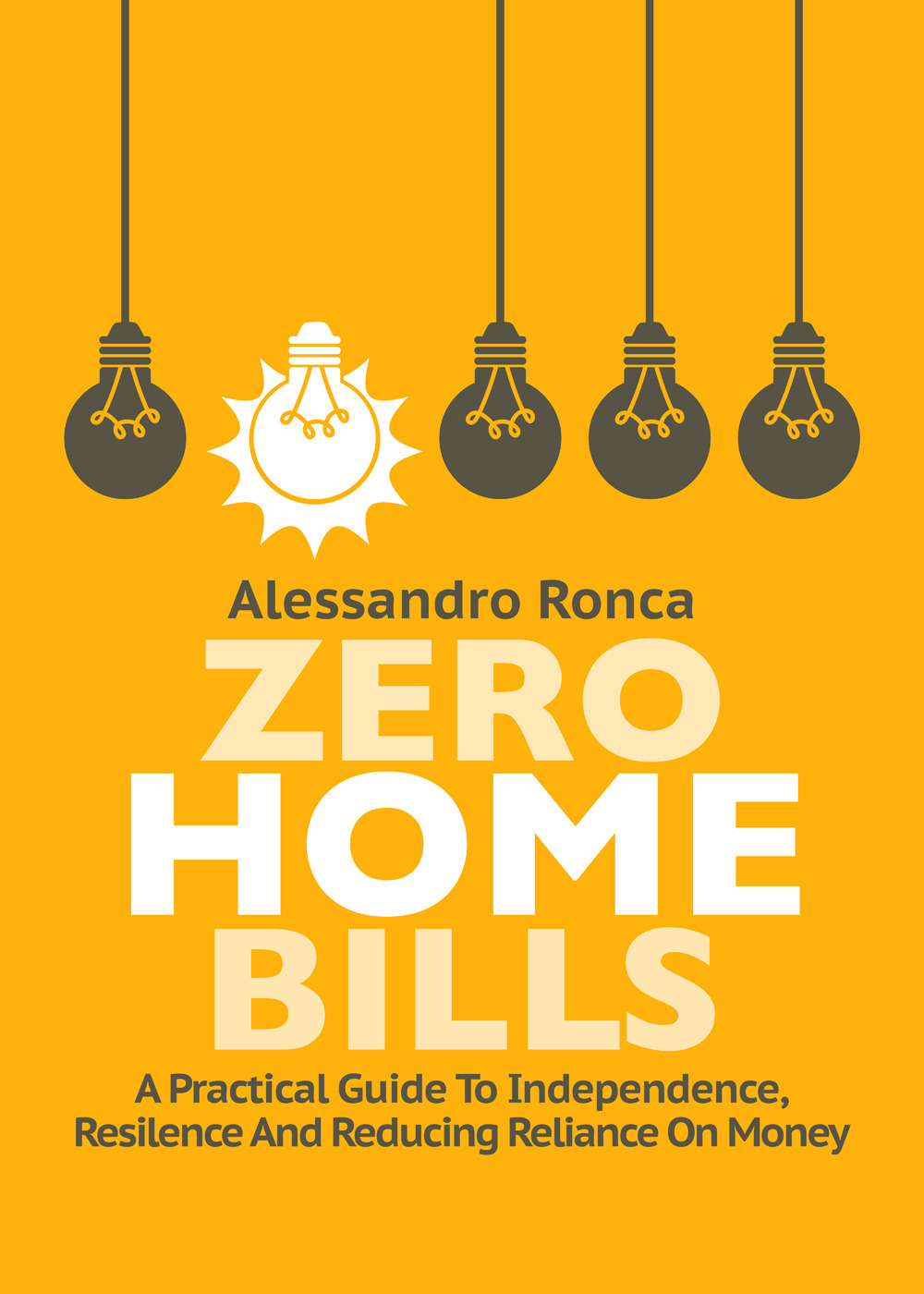 Zero home bills. A practical guide to independence resilience and reducing reliance on money