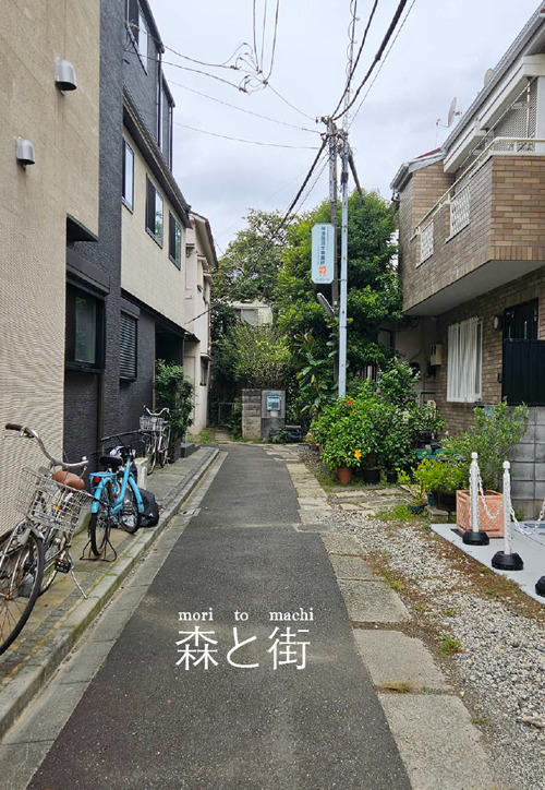 Mori to machi. Diario fotografico di un viaggio in Giappone