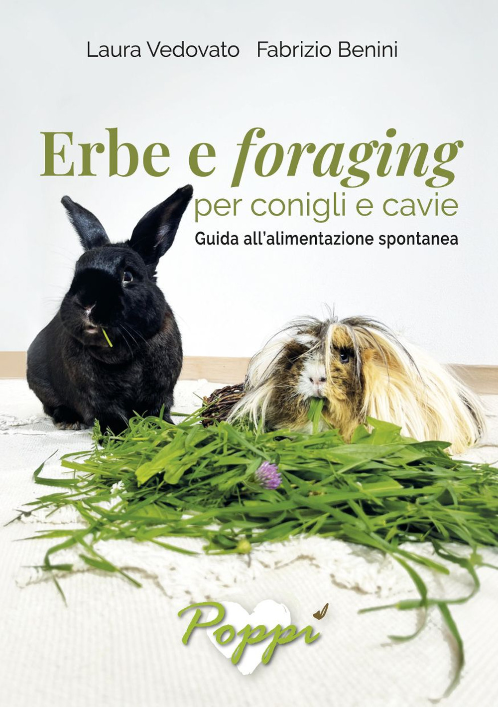 Erbe e foraging per conigli e cavie. Guida all'alimentazione spontanea