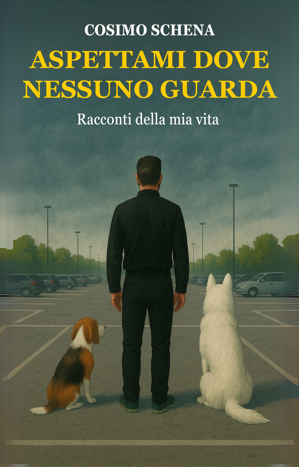 Aspettami dove nessuno guarda. Raccontami della mia vita