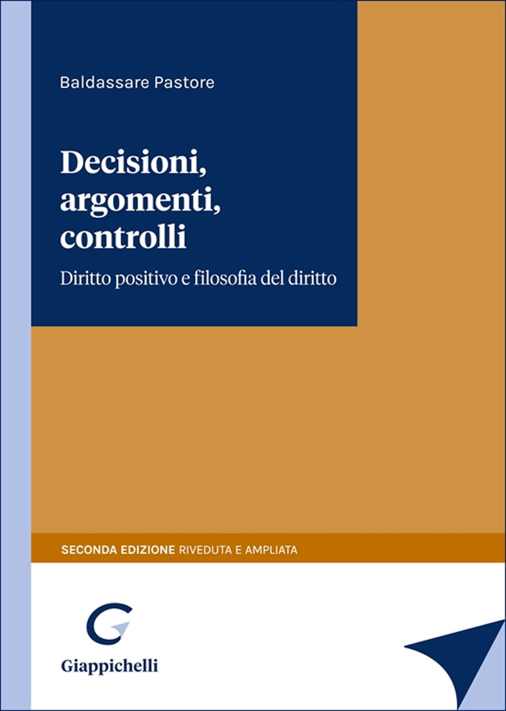 Decisioni, argomenti, controlli. Diritto positivo e filosofia del diritto
