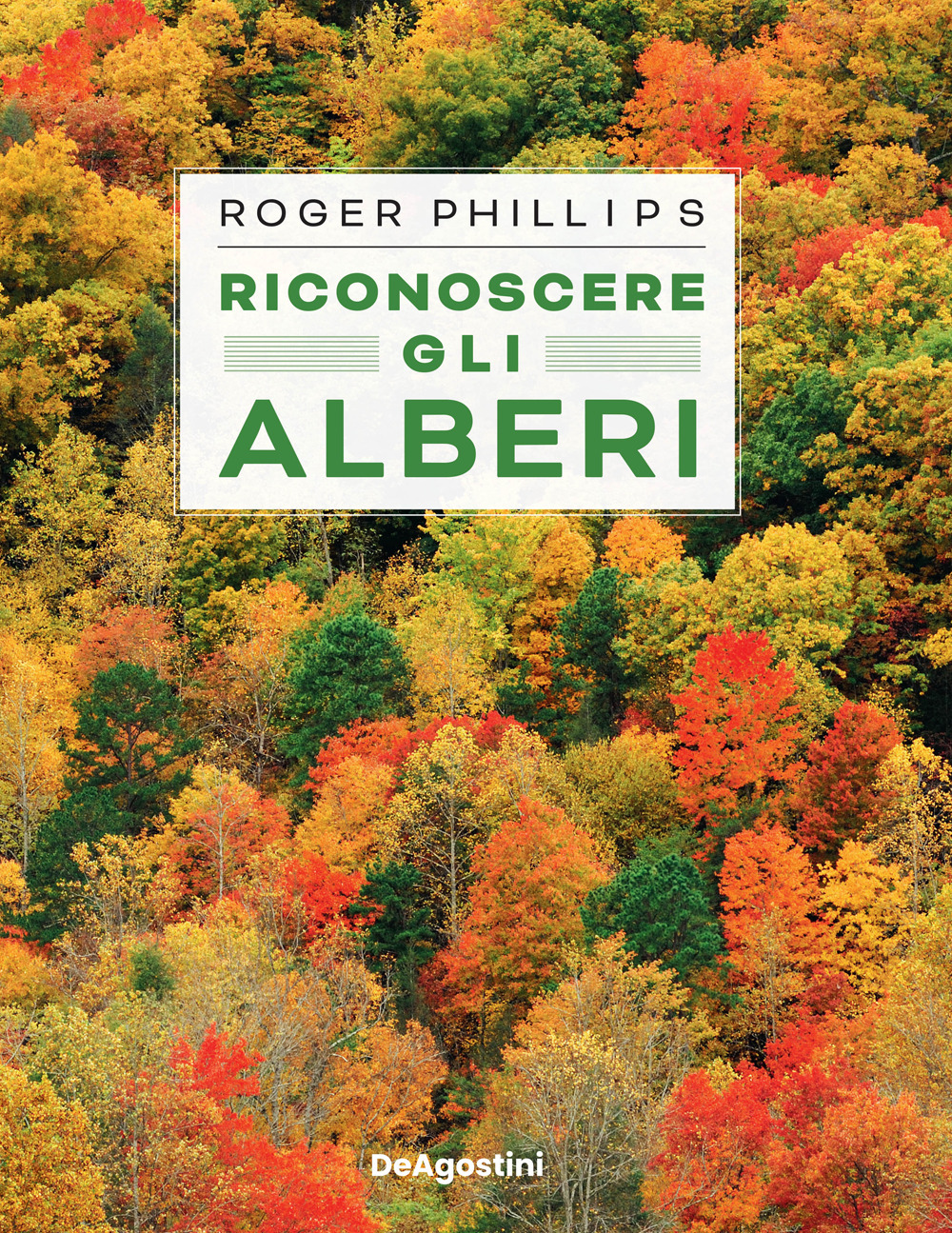 Riconoscere gli alberi