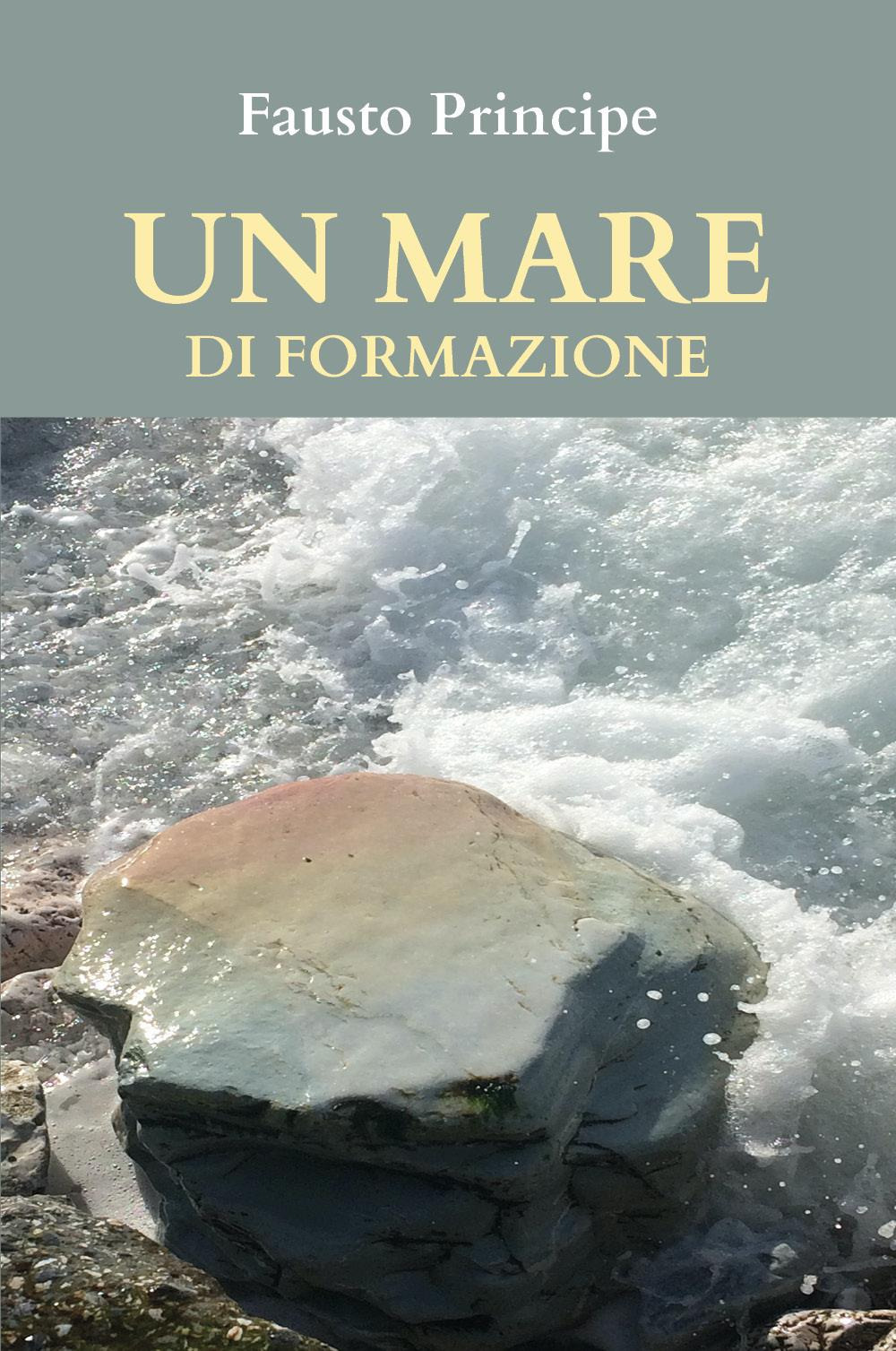 Un mare di formazione. Piccola guida pratica per navigare sicuri nella docenza della formazione d’aul