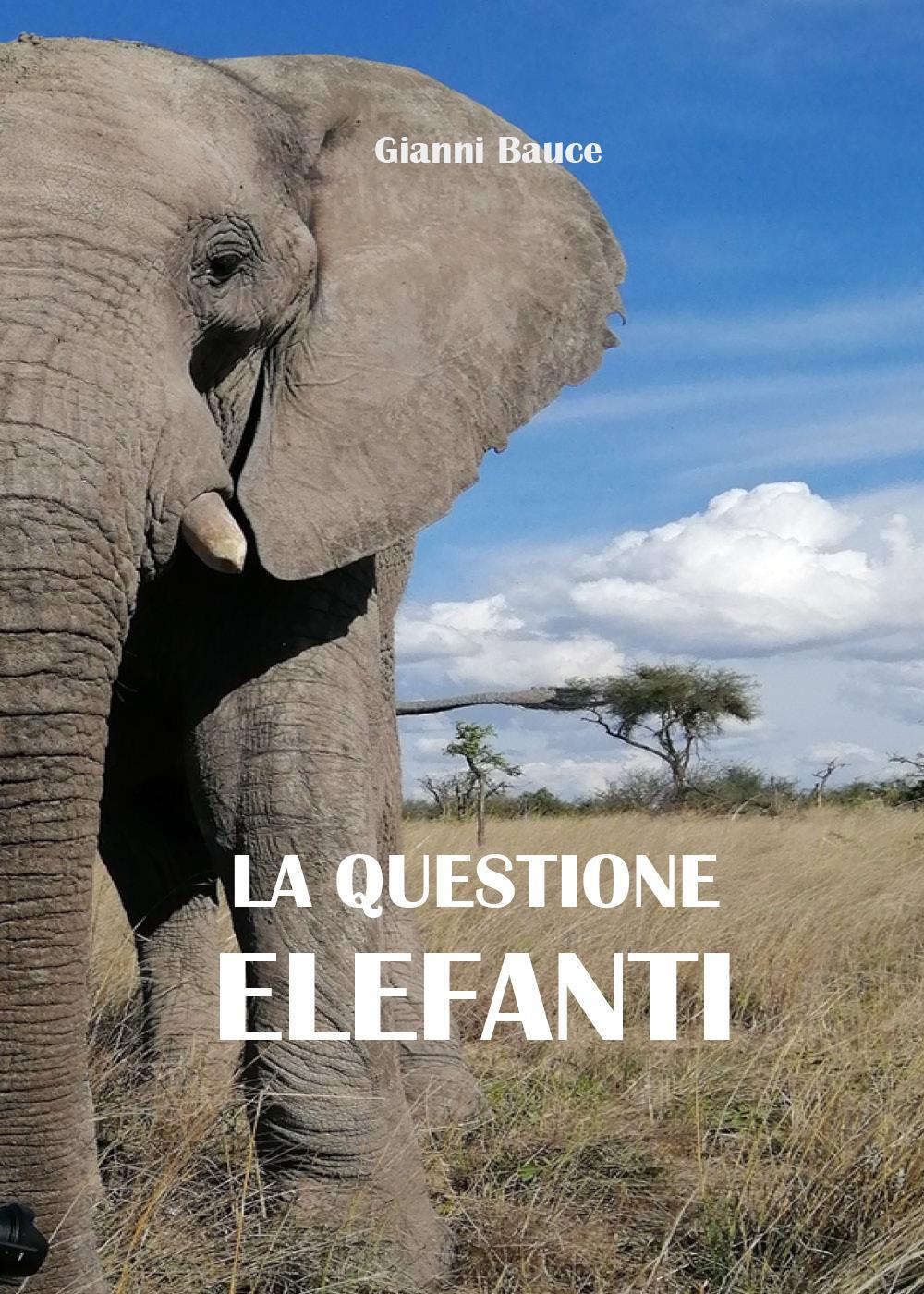 La questione elefanti