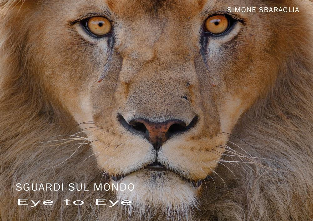 Sguardi sul mondo: eye to eye