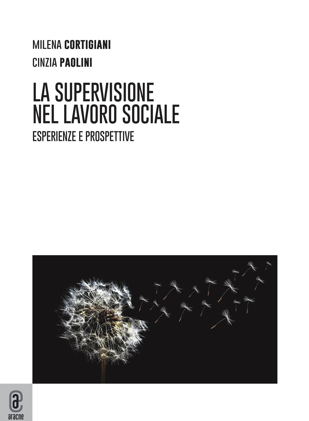 La supervisione nel lavoro sociale. Esperienze e prospettive