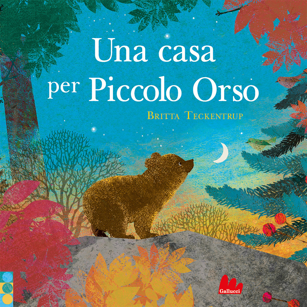 Una casa per piccolo orso