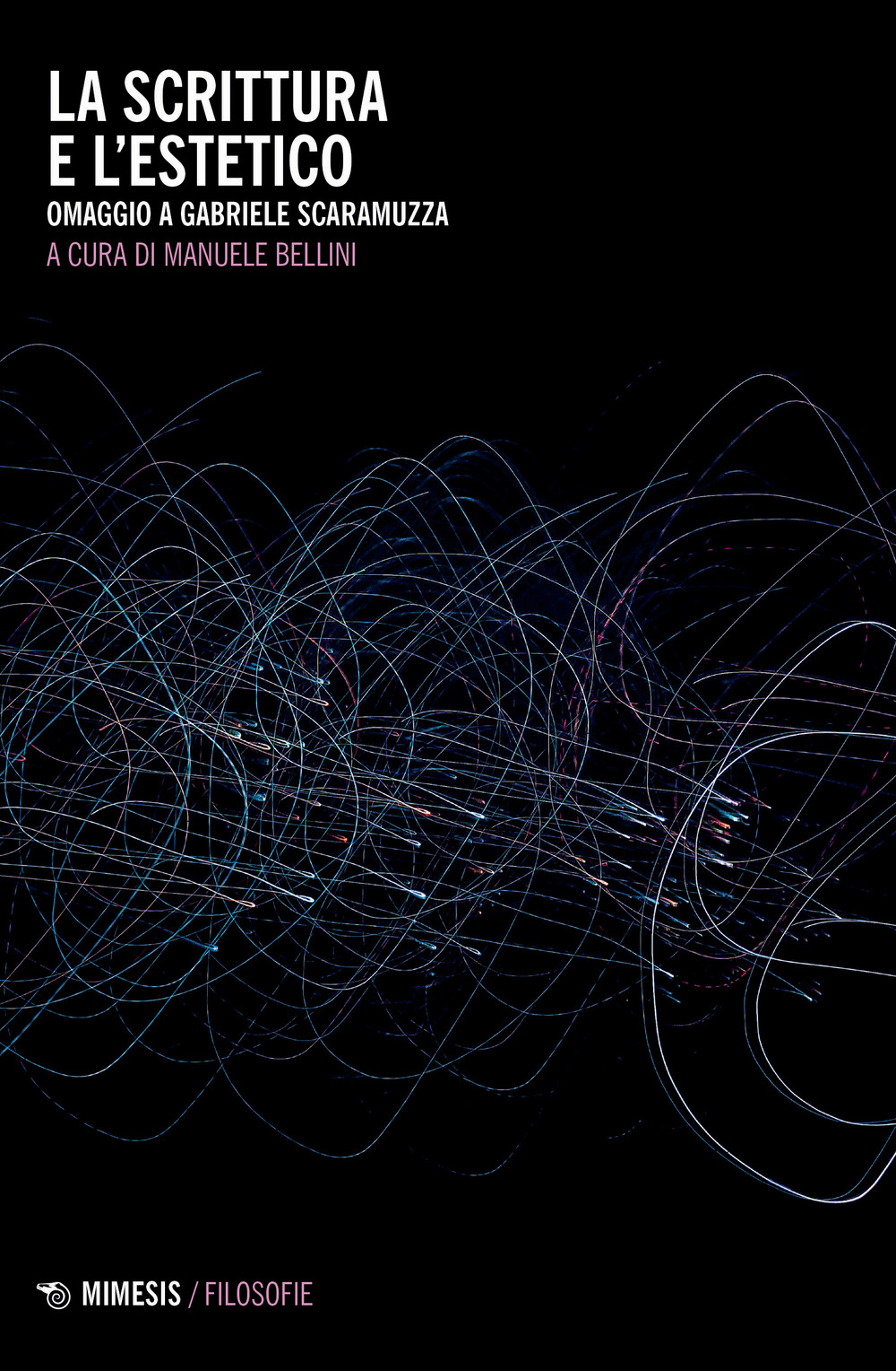 La scrittura e l'estetico. Omaggio a Gabriele Scaramuzza