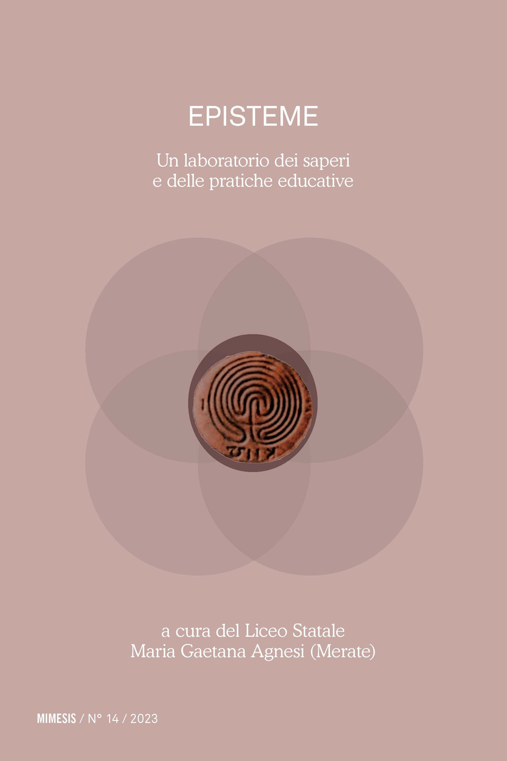 Episteme. Un laboratorio dei saperi e delle pratiche educative nella scuola superiore. Vol. 14