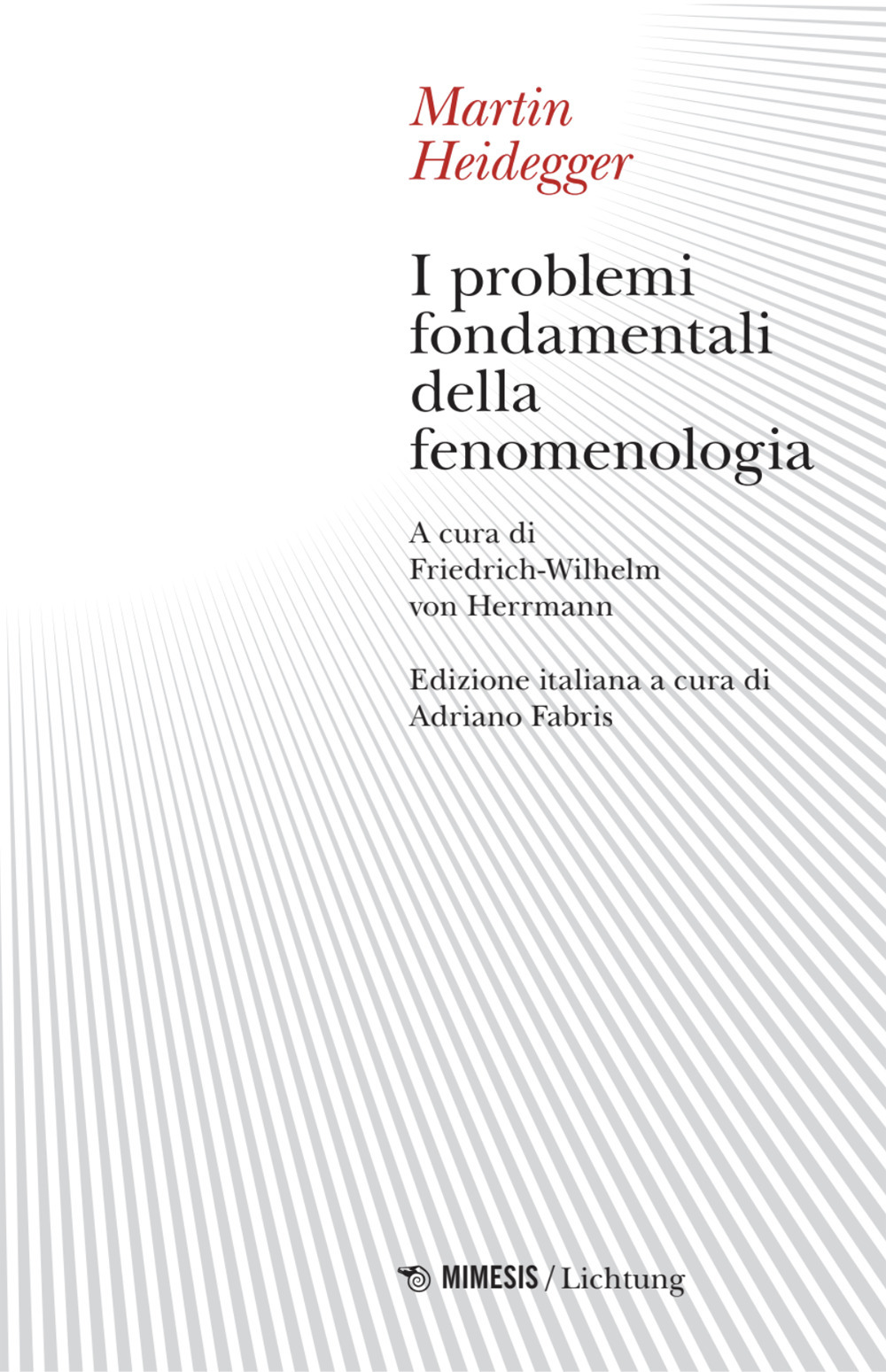 I problemi fondamentali della fenomenologia