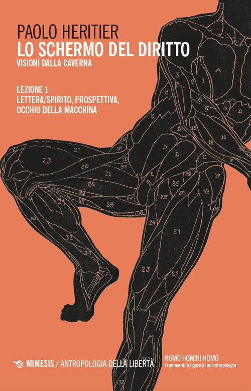 Lo schermo del diritto. Vol. 1: Lettera/spirito, prospettiva, occhio della macchina