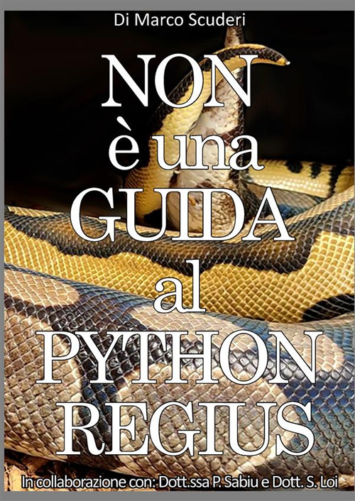 Non è una guida al pythons regius. La raccolta dei miei errori nell'allevamento del pitone reale dal 2009